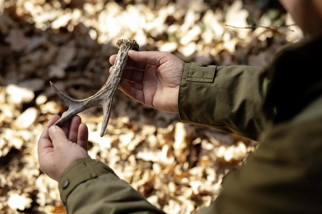 Jäger hält Geweih